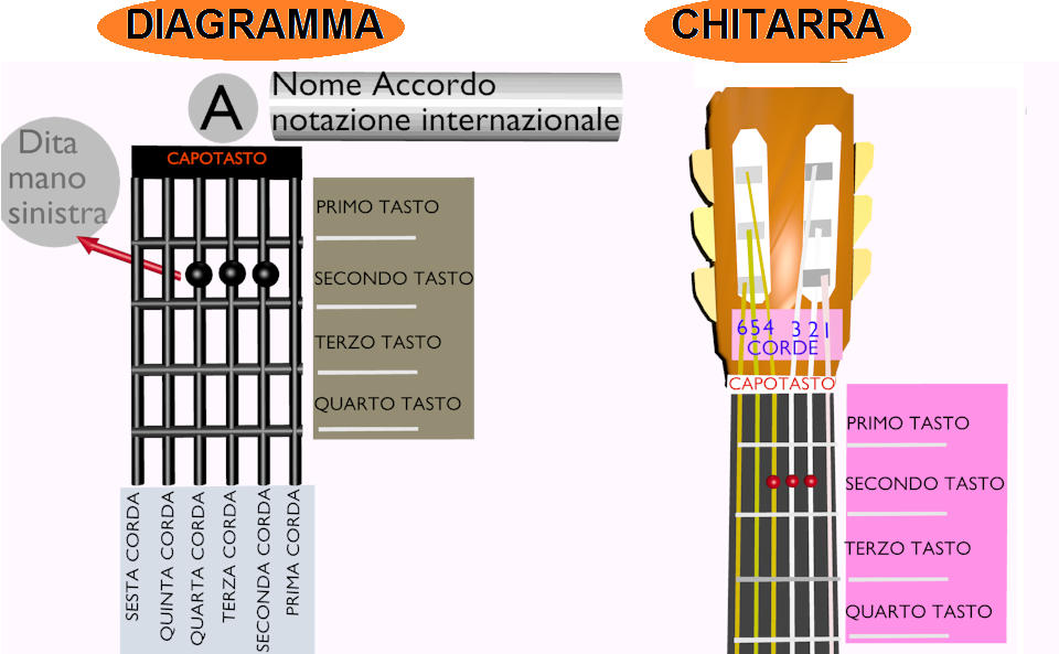 Accordi chitarra online spiegati con diagramma, corde e tasti per principianti